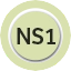 NS1